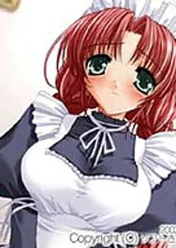 美雨