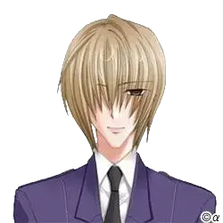 アイビス・ベリーロード