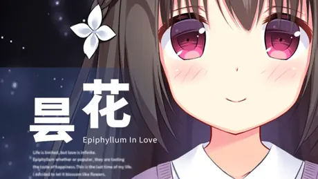 Series Banner 3