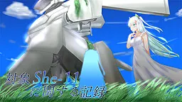 対象She-11に関する記録