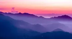 暮山紫