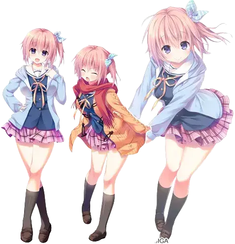 四贺乃花