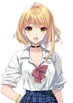 垣花彩楽