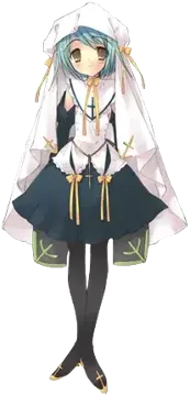 杏