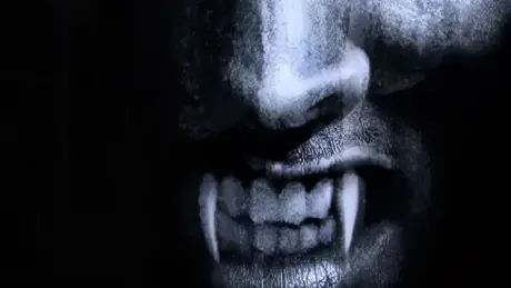 The Shadow