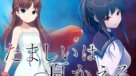 たましいは夏かえる