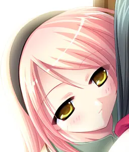 蕾