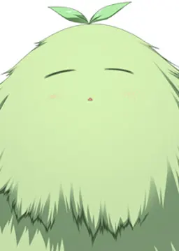 ポルルト