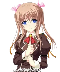 野咲雛菊