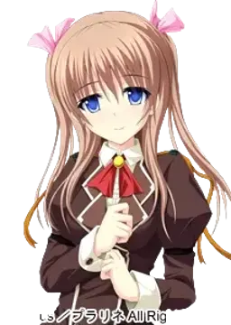 野咲雛菊