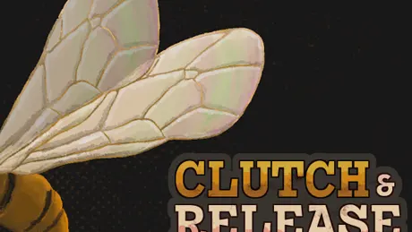 Clutch & Release