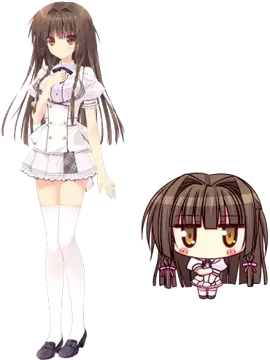 白里 楓