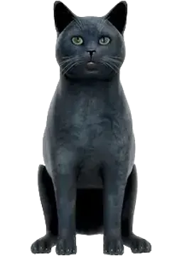 黑猫