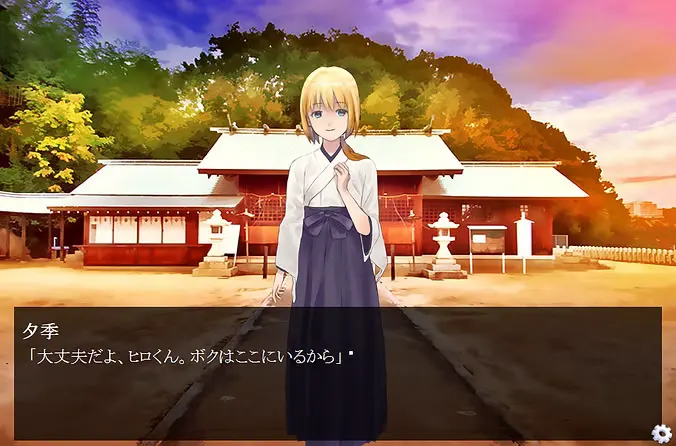 夏菊
