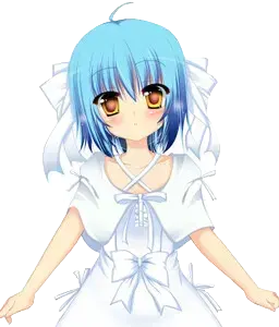 奄美 澄美佳