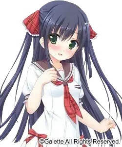 妹尾鸫