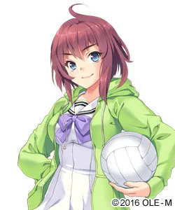 宫本翼