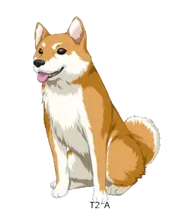 约翰