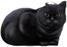 ミーたん
