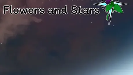 A Field of Flowers and Stars