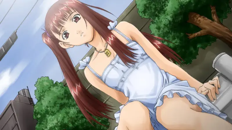 永远的夏日