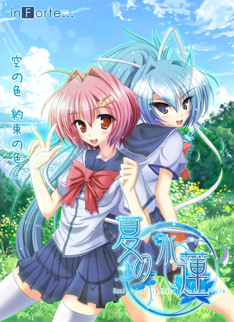 夏日睡莲