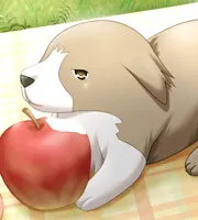 絶倫丸