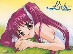リーベ ~想い出の贈り物~