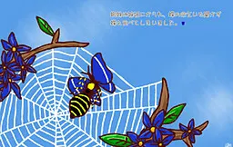 青い翅の蜘蛛