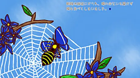 青い翅の蜘蛛