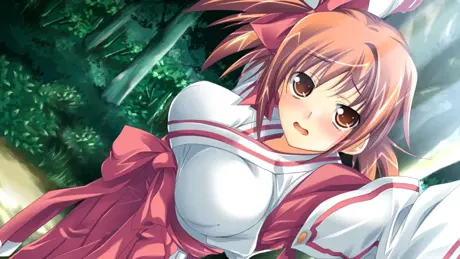 巫女みにょ。～巫女姉妹の災厄な一日～