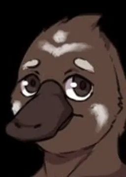 Dhurra