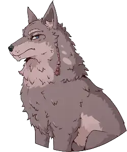 Boof