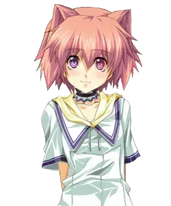 波奇