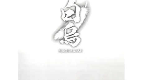白烏