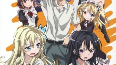 Series Banner 1