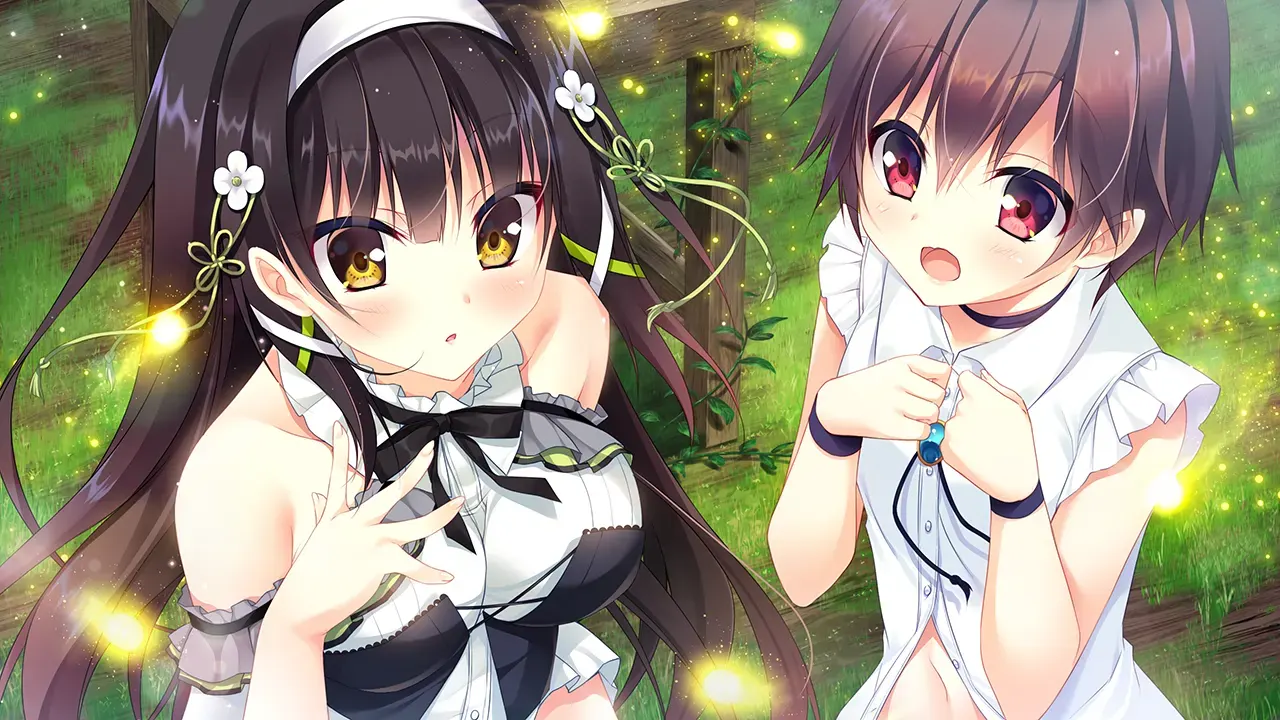 evy01\_02a.png