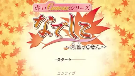 （五）赤いCanvasシリーズ なでしこ ～朱色のらせん～