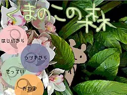 小熊的森林