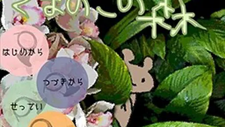 くまのこの森