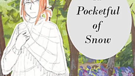 A Pocketful of Snow