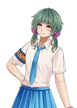 Meia