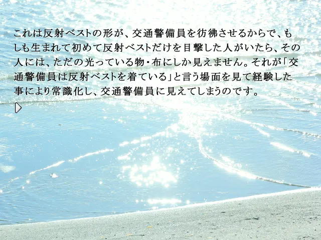 55b2e81c