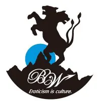 BigWednesday logo