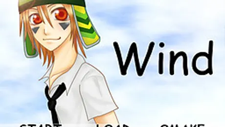 Wind