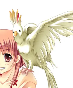ガラ
