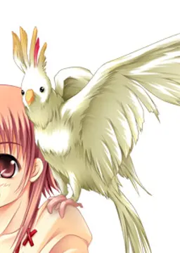 ガラ