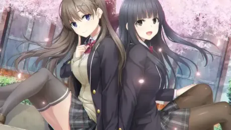 フルキスS