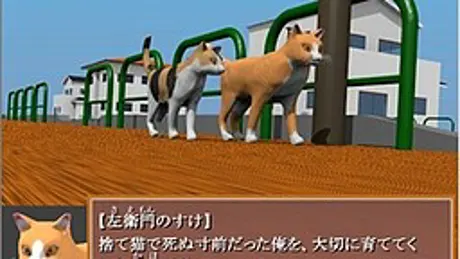猫の名前は左衛門のすけ