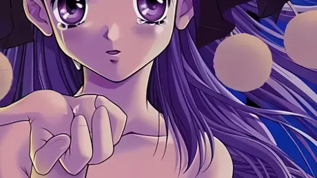 虚像庭園 ～少女の散る場所～
